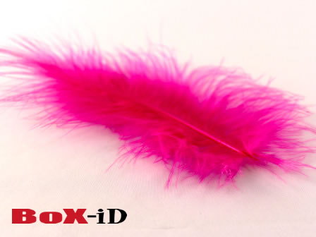 Feathers Marabou +/- 14 cm color 30 fuchsia